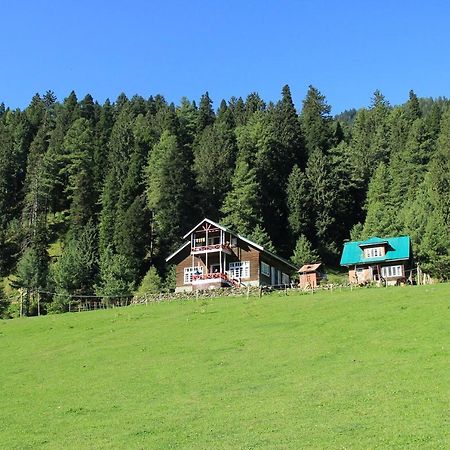 Hotel Peaceful Mornings Srinagar ภายนอก รูปภาพ
